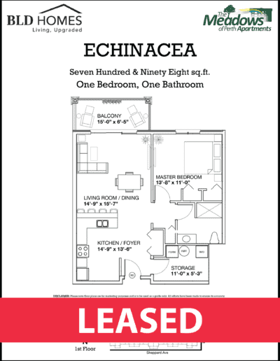 Echinacea- Leased